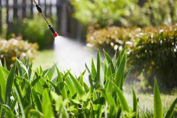 24/7 Emergency Ant Control experts in Tuscumbia, AL