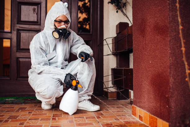 Reliable Ant Control contractor in Tuscumbia, AL by Nex Pest Control