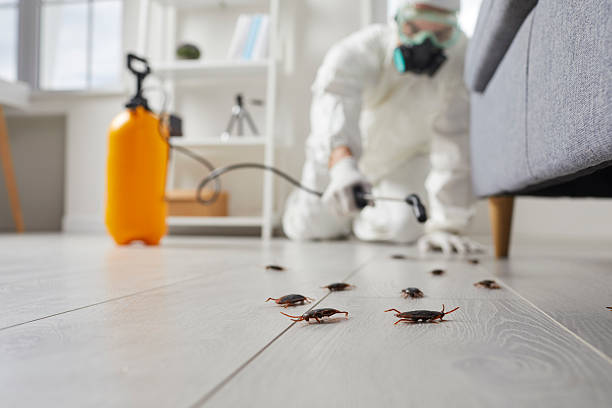 Trusted Rodent Control service in Tuscumbia, AL - Nex Pest Control