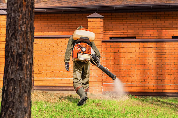Trusted Ant Control service in Tuscumbia, AL - Nex Pest Control